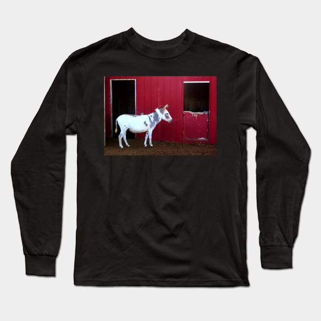 Spotted Donkey Red Barn Long Sleeve T-Shirt by 1Redbublppasswo